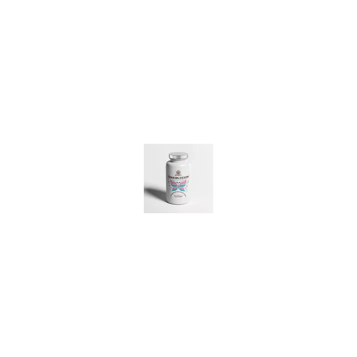 Unicity Unimate Yerba Mate Supplément LEMON GINGER 10 paquetssa
