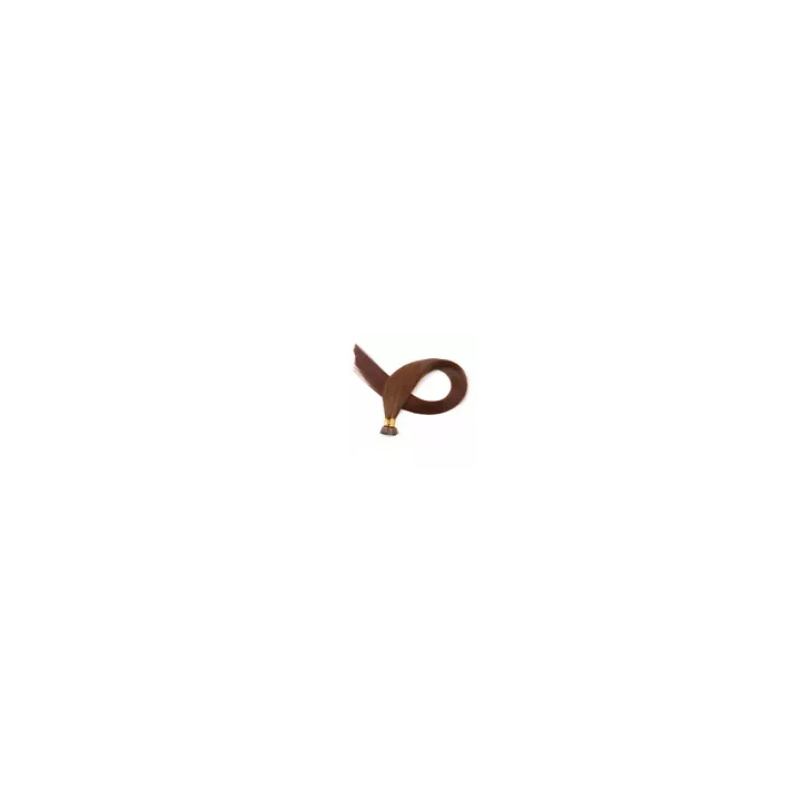 255075100 EXTENSION DE CHEVEUX POSE A CHAUD 100 NATUREL REMY HAI