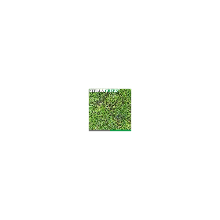 Protect Garden 400MLA Loredo Quattro Universal-Rasenunkrautfrei 