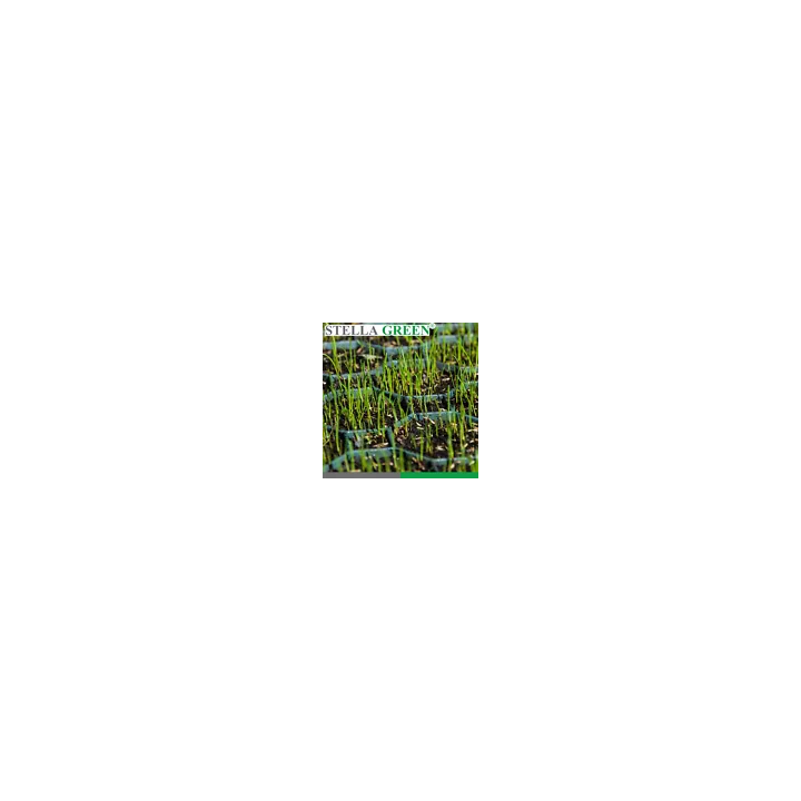 Protect Garden 400MLA Loredo Quattro Universal-Rasenunkrautfrei 