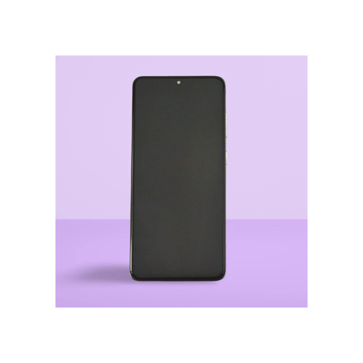 Ecran Pour Samsung galaxy S21 Ultra G998BDS G998UW Châssis Noir