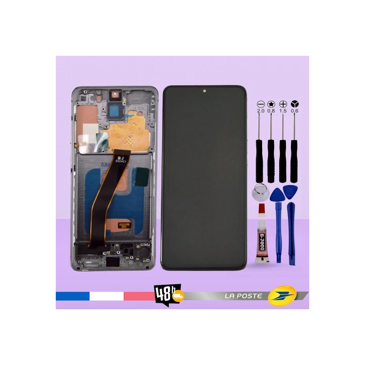 Ecran Pour Samsung galaxy S21 Ultra G998BDS G998UW Châssis Noir