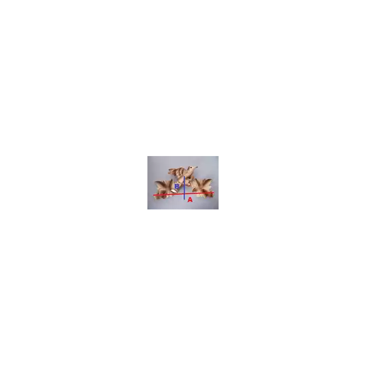  - SHOP.TKF54.fr