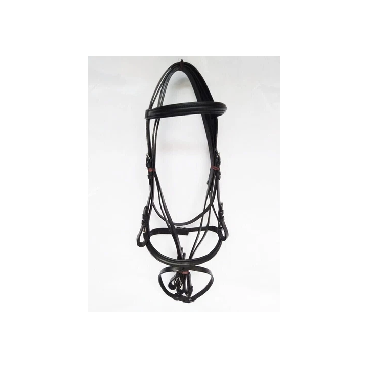 ARMA - Tapis de selle pour chevaux HYDE PARK ER2031 - SHOP.TKF54