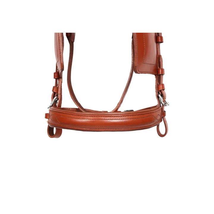 Success Equestrian Half Pad L - SHOP.TKF54.fr