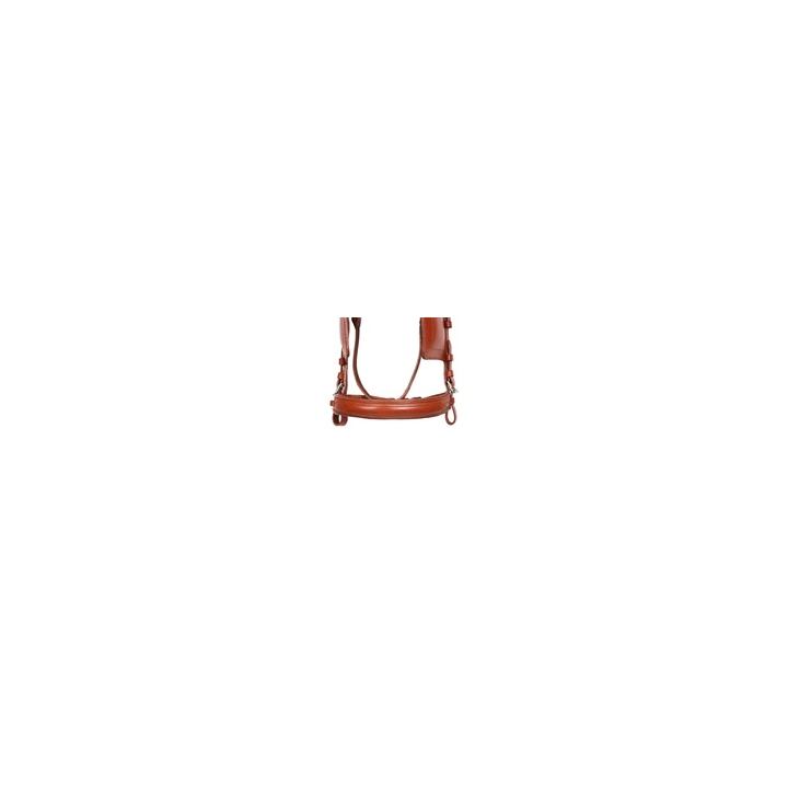 Success Equestrian Half Pad L - SHOP.TKF54.fr