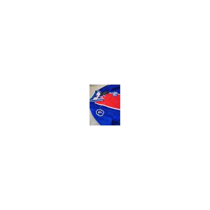 FLOCAGE Officiel Adulte PSG Pastore 27 Ligue 1 Third 20152016 Ra