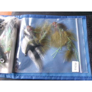 Galapagos Grace 240F Jointed Swimbait Flottant Leurre Sumire Ayu