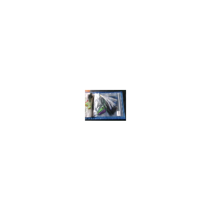 Galapagos Grace 240F Jointed Swimbait Flottant Leurre Sumire Ayu
