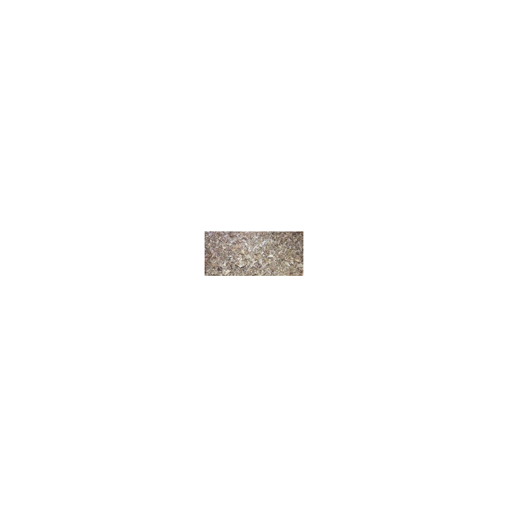 2024 Eternal Cut World Celebrities Edition Relic Pablo Picasso 7