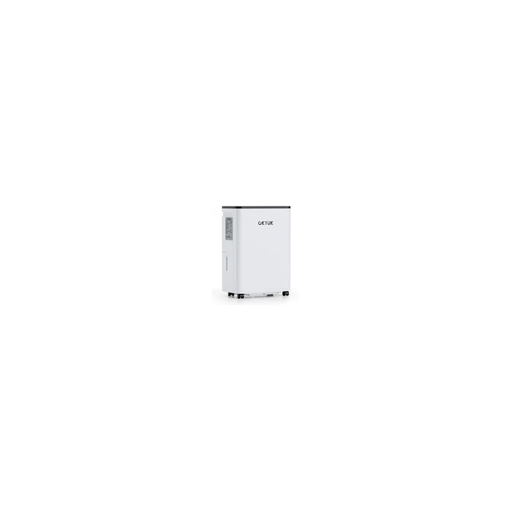 216V Batterie pour Dyson V6 V7 V8 SV03 SV04 SV05 DC58 DC59 DC31A