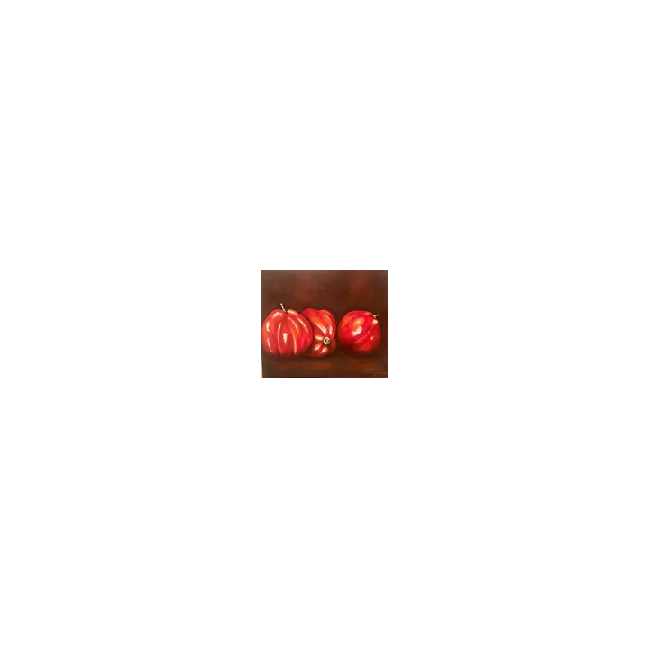  - SHOP.TKF54.fr