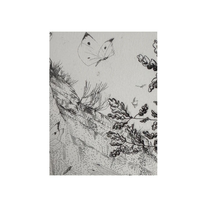 Henri LE RICHE  Deux Nus féminins gravures Fleurs du Mal 1936 -