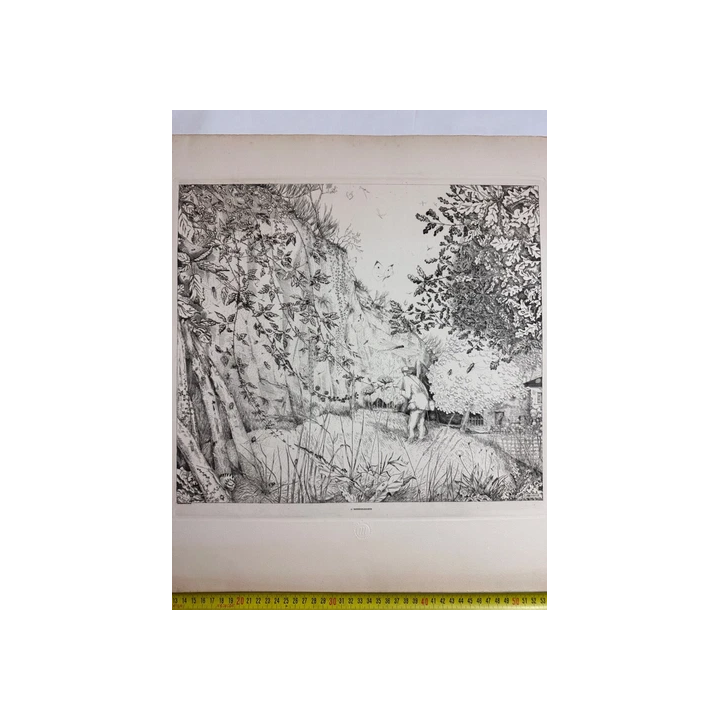 Henri LE RICHE  Deux Nus féminins gravures Fleurs du Mal 1936 -