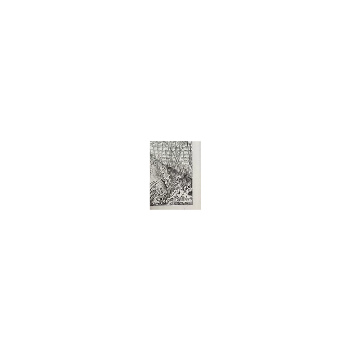 Henri LE RICHE  Deux Nus féminins gravures Fleurs du Mal 1936 -