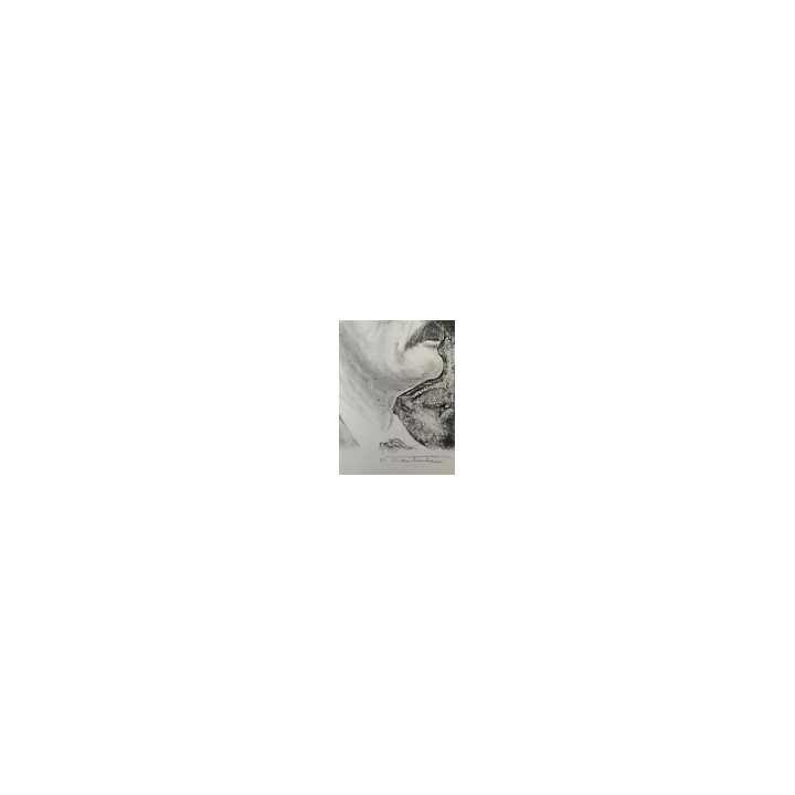 NOUVELLE ANNONCEANCIEN BOIS GRAVE ORIGINAL PORTRAIT DU PEINTRE M