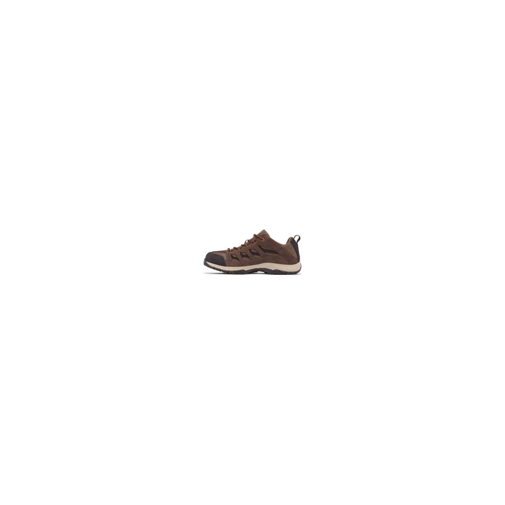 Salomon Xa Pro 3D V8 GTX W Chaussures de Course pour Femmes Lois