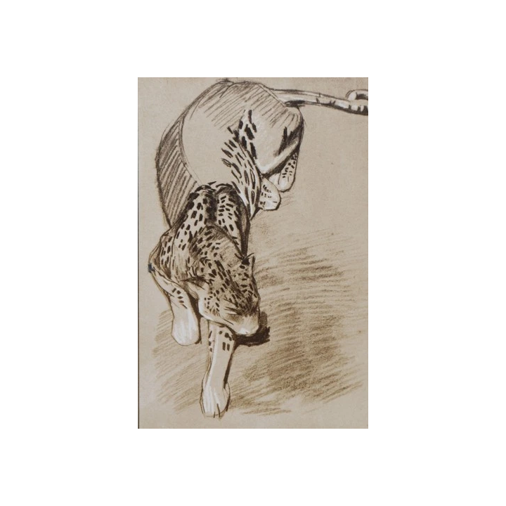 Alphonse Mucha Lithographie Off Set CM 50x70 Avec Certifié - Si