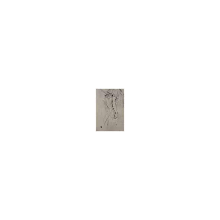 EDGAR DEGAS  LITHOGRAPHIE  1922 - SHOP.TKF54.fr