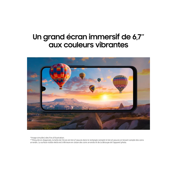Ecran Pour Samsung galaxy S20 FE G780 G781  Châssis Noir Empre
