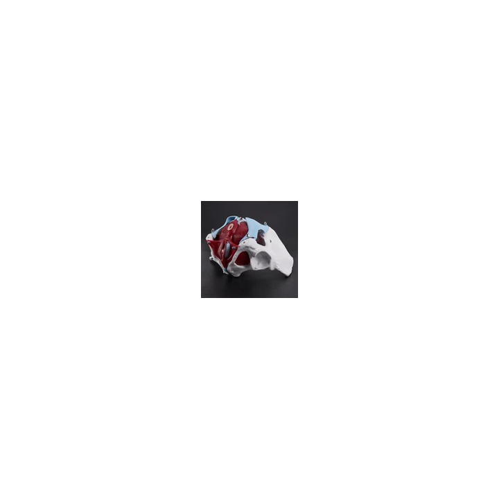 - SHOP.TKF54.fr