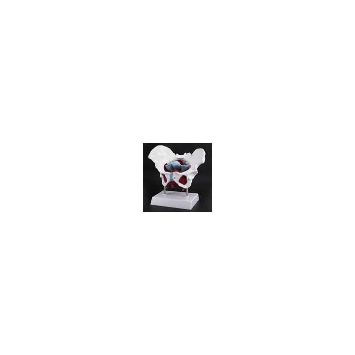 - SHOP.TKF54.fr