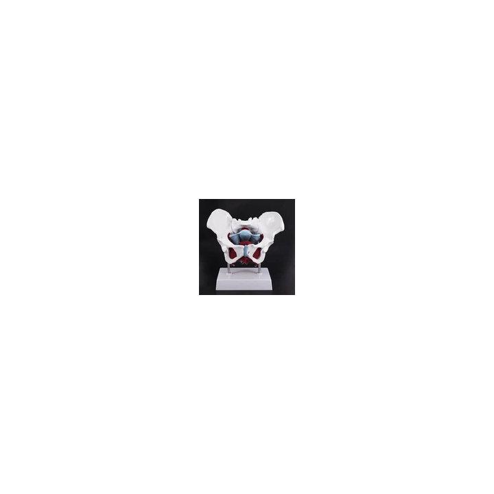  - SHOP.TKF54.fr