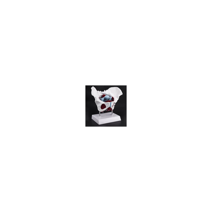  - SHOP.TKF54.fr