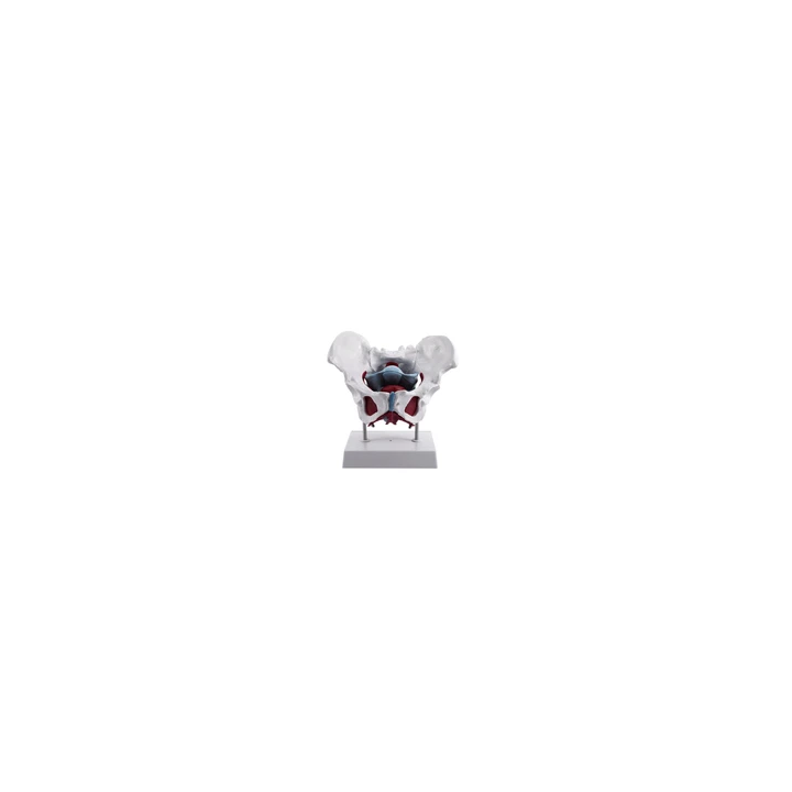  - SHOP.TKF54.fr