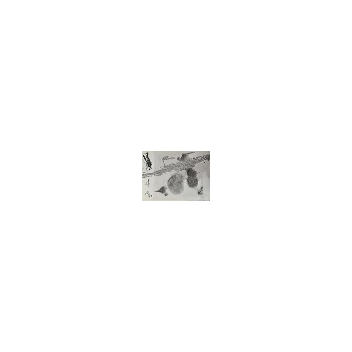 PHOTOGRAPHE  PEINTRE GASTON XHARDEZ 1924-1996 PHOTOGRAPHIE ARGEN