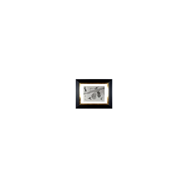 PHOTOGRAPHE  PEINTRE GASTON XHARDEZ 1924-1996 PHOTOGRAPHIE ARGEN