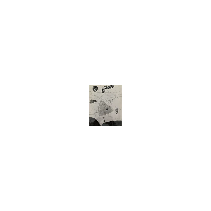 PHOTOGRAPHE  PEINTRE GASTON XHARDEZ 1924-1996 PHOTOGRAPHIE ARGEN