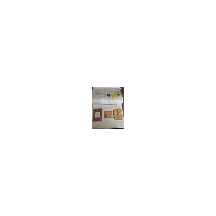 NOUVELLE ANNONCE Carte Pokémon Tortank EX FA 184165 EV35 Mew 15
