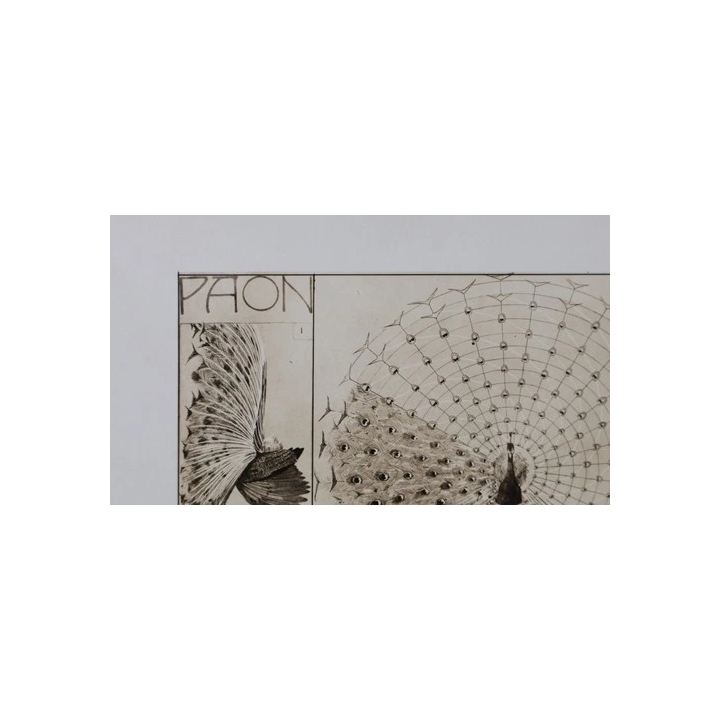 NOUVELLE ANNONCETrès Belle peinture Huile Art Brut Carton 1960 