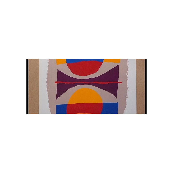 NOUVELLE ANNONCEAFFICHE DART EDELMANN Portrait abstrait dun visa