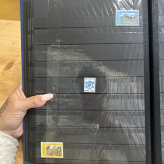 NOUVELLE ANNONCERARE  TIMBRES CERES N 1 - TBeau - SHOP.TKF54.fr