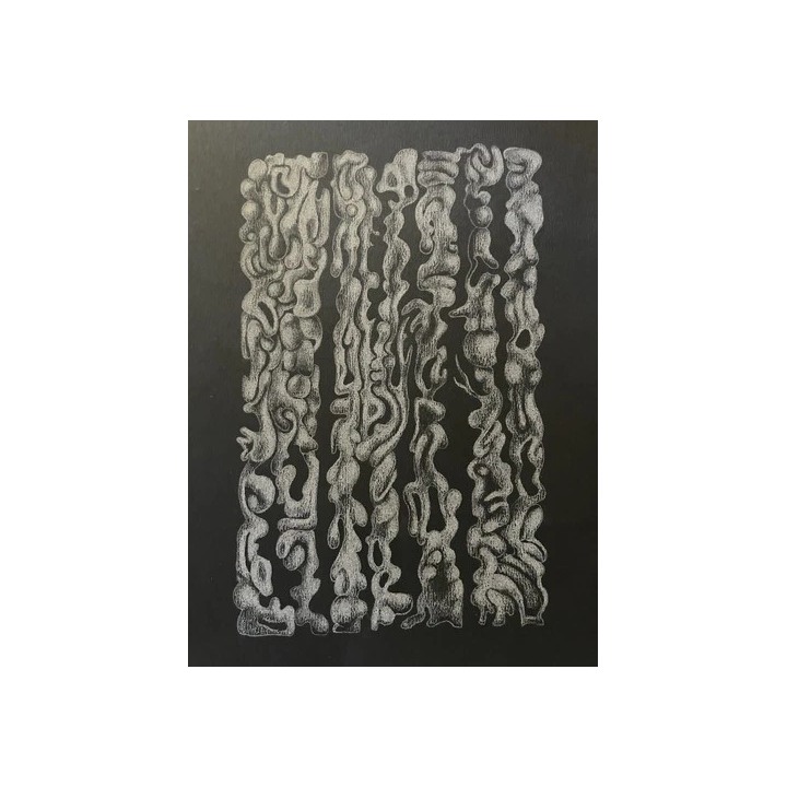 NOUVELLE ANNONCELot 20 images tirage papier noir blanc imprimeri