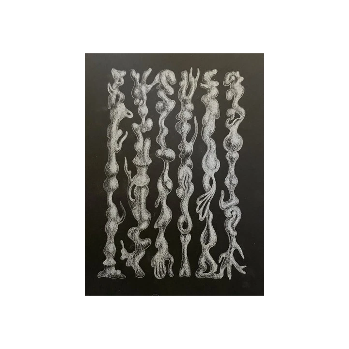 NOUVELLE ANNONCELot 20 images tirage papier noir blanc imprimeri