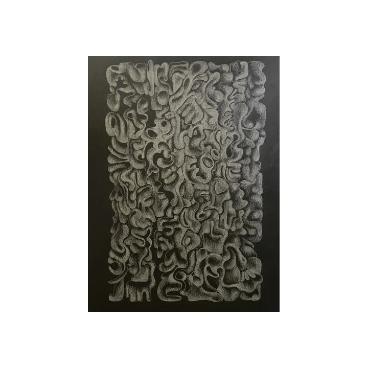 NOUVELLE ANNONCELot 20 images tirage papier noir blanc imprimeri