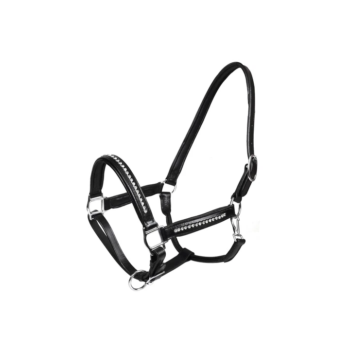  - SHOP.TKF54.fr