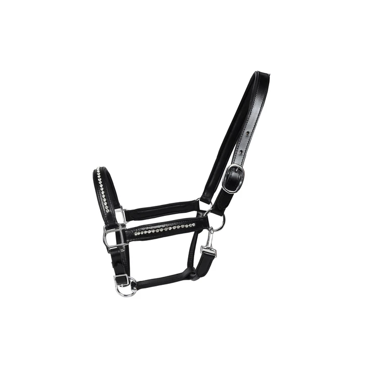 - SHOP.TKF54.fr