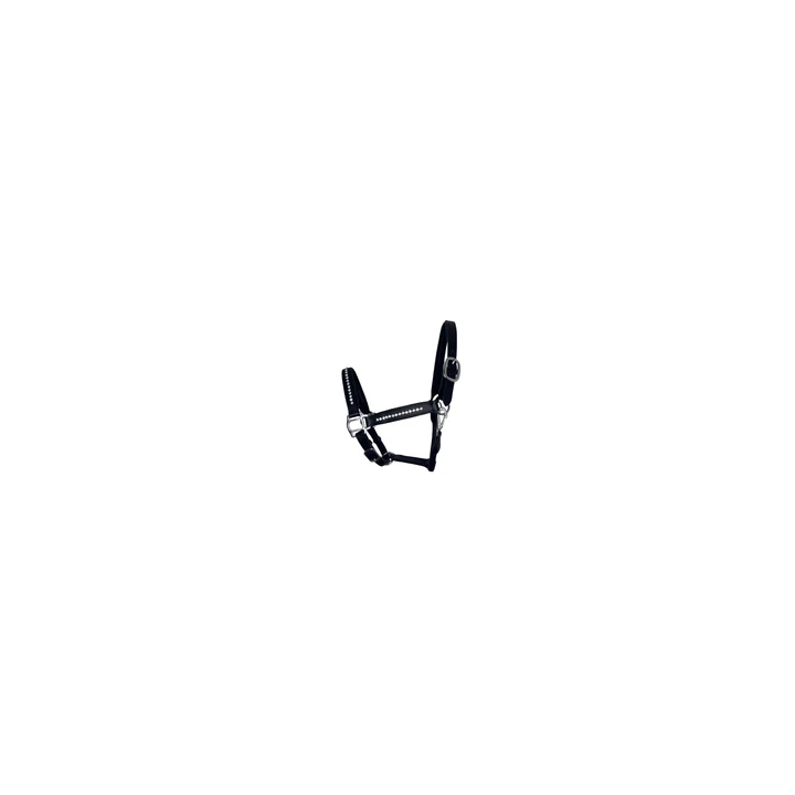  - SHOP.TKF54.fr