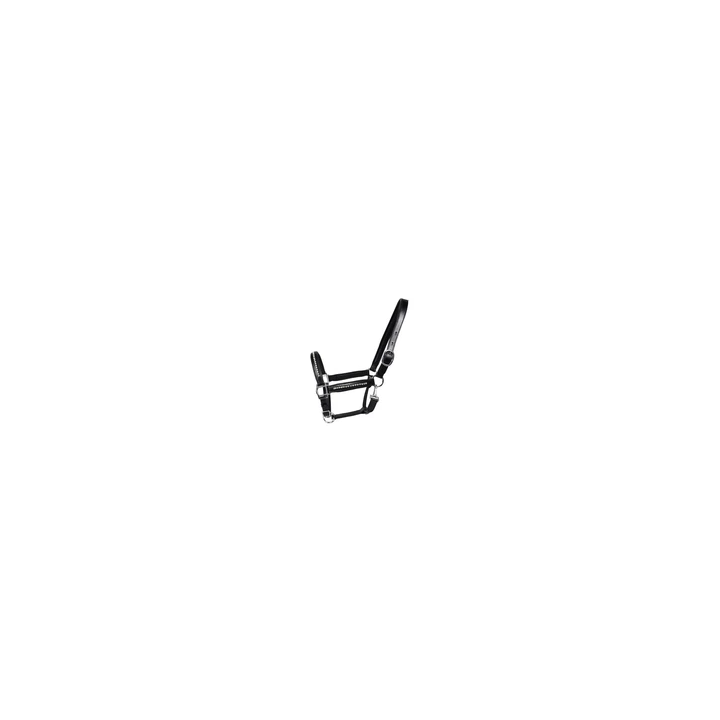  - SHOP.TKF54.fr