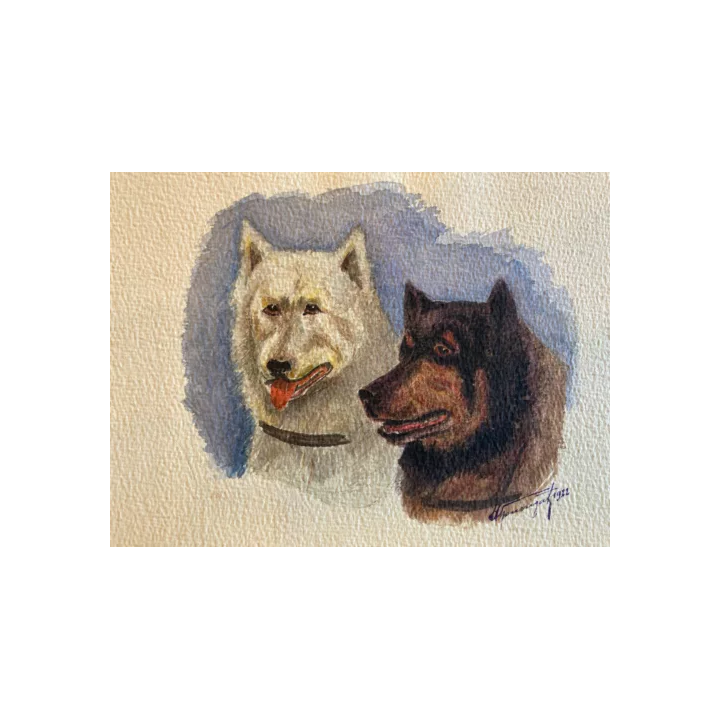 NOUVELLE ANNONCEBeau Dessin Art Ancien Crayon Art Deco 1950 Sur 