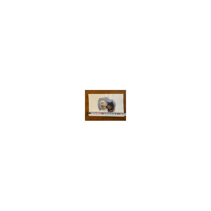 NOUVELLE ANNONCEBeau Dessin Art Ancien Crayon Art Deco 1950 Sur 