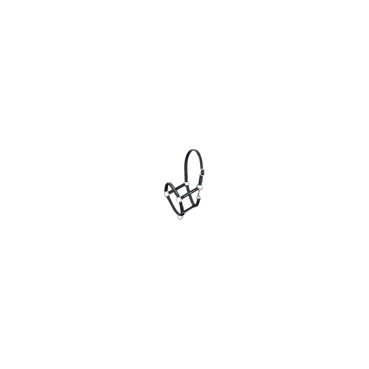  - SHOP.TKF54.fr