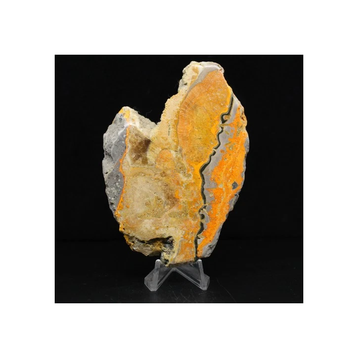 NOUVELLE ANNONCEJaspe Bumblebee 130gr 100mm Indonésie - SHOP.TK