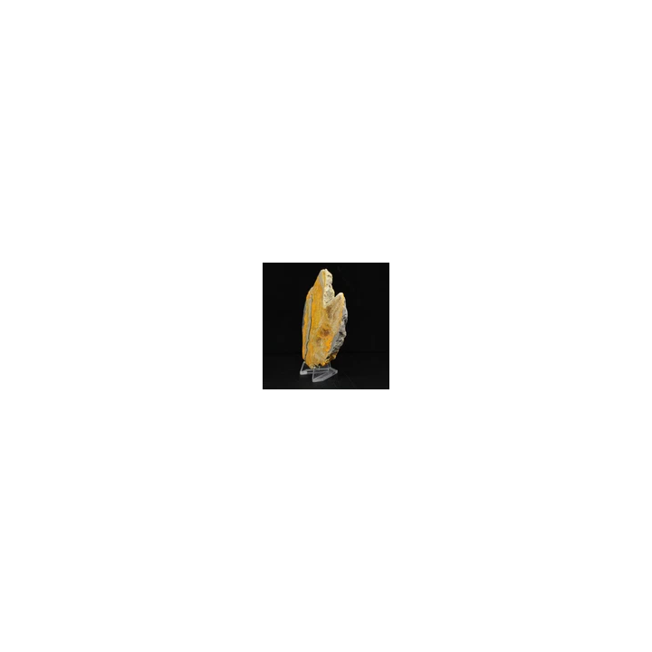 NOUVELLE ANNONCEJaspe Bumblebee 130gr 100mm Indonésie - SHOP.TK