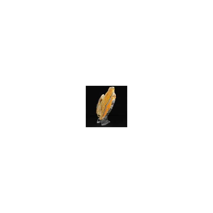 NOUVELLE ANNONCEJaspe Bumblebee 130gr 100mm Indonésie - SHOP.TK