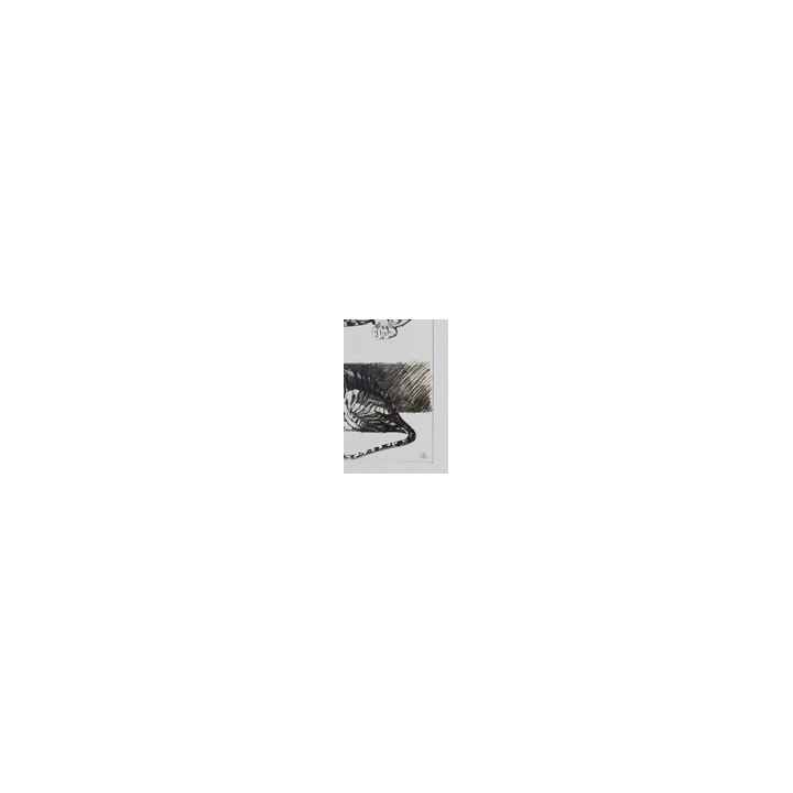  - SHOP.TKF54.fr